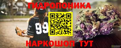 apvp Шебекино