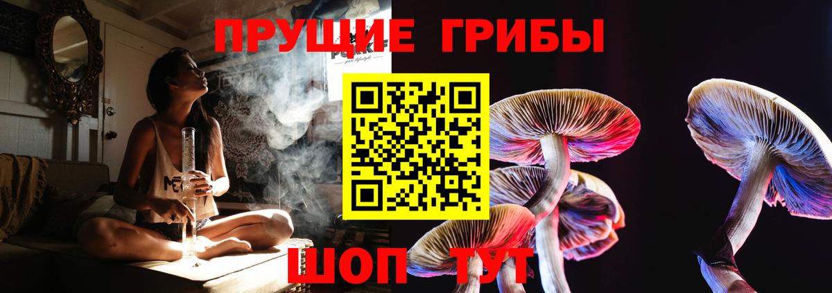 Псилоцибиновые грибы ЛСД Рузаевка