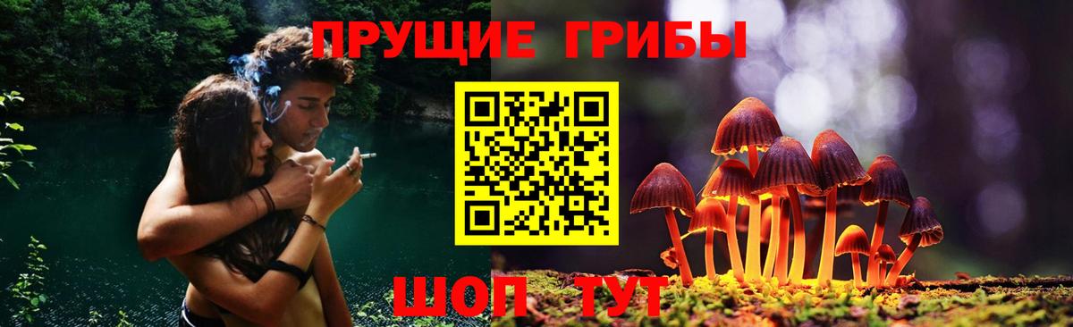Галлюциногенные грибы мицелий  Галлюциногенные грибы MAGIC MUSHROOMS  где купить наркоту  Вход с VPN  Рузаевка 